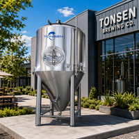 Tanks de Fermentation Coniques en Acier Inoxydable Tonsen de Haute Qualité 6000L 60BBL 60HL pour Brasserie Artisanale