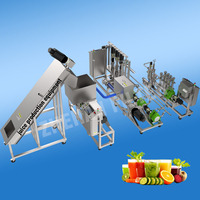 Complete productielijn voor ananassap, industriële drankenverwerkingsmachines, voedselveilige roestvrijstalen 304-motor