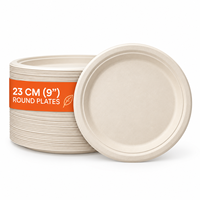 Assiettes jetables en bagasse 100 % biodégradables, résistantes, écologiques, blanches naturelles, 7x7, pour dîner et fête, compatibles micro-ondes