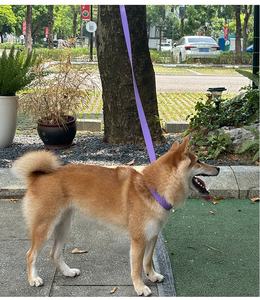 Mehrfarbiges PVC-Training Taktisches Hunde halsband und Blei-Set Schwere Schnalle Verstellbares Geschirr Luxus-Set Gummi-Haustier halsbänder Leinen - Product Image 6