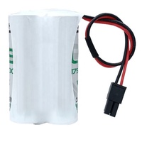 Détecteur de gaz Eagle Eye LS17330 100% NEUF ORIGINAL AUTHENTIQUE, alarme de gaz, batterie au lithium dédiée au PLC, batterie 3.6V 2/3A