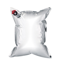 Sac plastique personnalisé pour emballage du vin, capacité de 3l 5l 10l, en aluminium plastifié, emballage pour le vin, contenant à bec