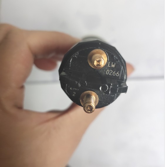 Common Rail Fuel Injector 0445120266 Diesel Fuel Injection Nozzle 612600090001 For WEICHAI
