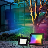 Projecteur LED intelligent WiFi RGB, contrôle par application, étanche, changement de couleur, pour le camping en plein air, les fêtes, la décoration de la cour