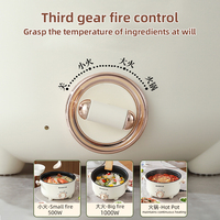 YUEDISI Marmite Électrique Portable 4L Multifonctionnelle à Commandes Mécaniques, Poêle Électrique Antiadhésive, Cuiseur Électrique