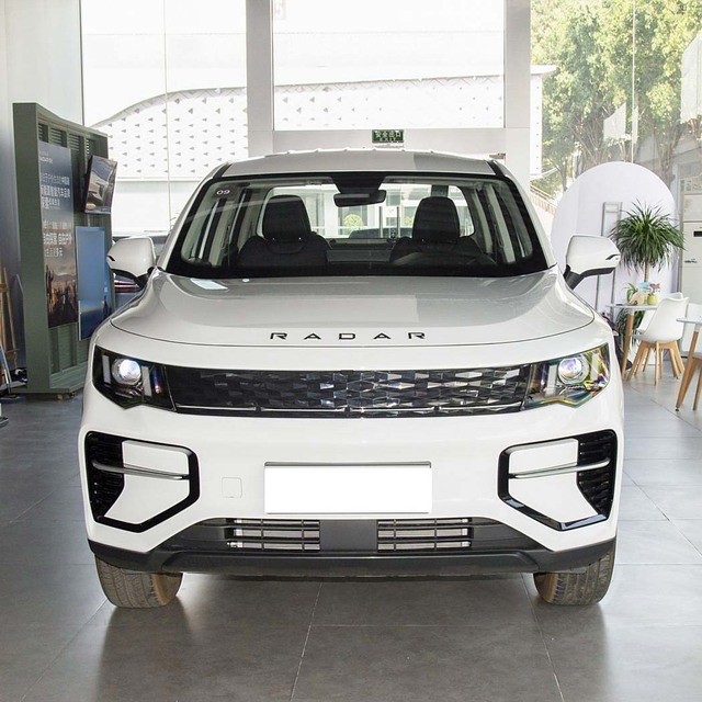 Cheap Price Geely Radar Pickup Truck With Canopy Chinese Electric Pickup Trucks Radar King Kong 2WD 4WD Electric Pickup
