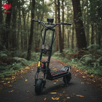 Nouvelle trottinette électrique KABBO WOLF Warrior 11 Max 2026 avec cadre en métal DGT