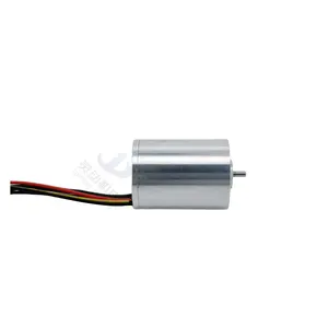 Customizable 12V 21000rpm 400mA Coreless Brushless DC Motor High Performance Small-Size for Robots Smart Homes Drones
