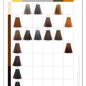 Nuancier de Couleurs de Cheveux Wayward Brand 45 Couleurs Naturelles Noir Brun Foncé - Product Image 3