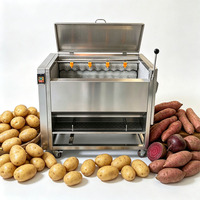 Machine à laver et à peler le manioc avec brosse de nettoyage, haute productivité, 220V, équipement de transformation des légumes