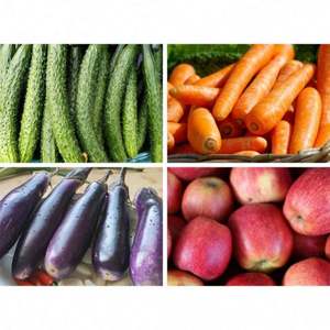 Máquina Industrial Cortadora y Separadora de Vegetales: Reposteras, Melones, Naranjas y Patatas - Product Image 2