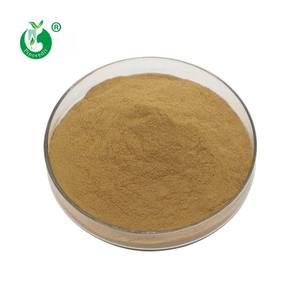 Pin credit Großhandel Bio Ingwer wurzel extrakt 5% 10% 20% Gingerol Pulver - Product Image 2