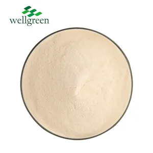 Bulk Supply Cosmetics Grade 200:1 Organic Freezed Dried Aloe Vera Gel Extract Powder 100 1