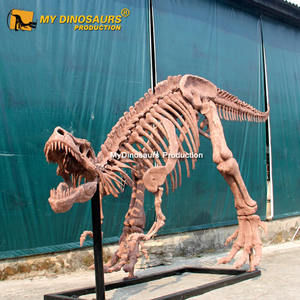 <span class=keywords><strong>Esqueleto</strong></span> <span class=keywords><strong>de</strong></span> Dinosaurio <span class=keywords><strong>de</strong></span> Fibra <span class=keywords><strong>de</strong></span> Vidrio <span class=keywords><strong>de</strong></span> Yangchuanosaurus - Product Image 3
