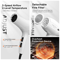 Sèche-cheveux professionnel pour animaux Shernbao 8300 Pro 2200W, sûr pour les chiens, les chats, les salons d'animaux et l'usage domestique