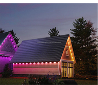 Contrôleur Wifi intelligent RGBW pour l'éclairage de pierres précieuses, éclairage extérieur permanent pour les décorations de vacances, éclairage de Noël LED permanent