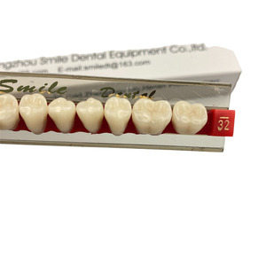 Acrylic Resin Teeth <b>Denture</b> Posterior Teeth Dental 2-layer Synthetic Resin Teeth - Product Image 3