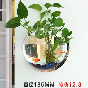 Jardinière hydroponique murale ovale en plastique 2,5 L, accessoires d'<span class=keywords><strong>aquarium</strong></span>, station de propagation créative suspendue pour Pothos et Lierre - Product Image 4