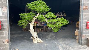 Promotion : Grand arbre artificiel de pin biomimétique pour l'accueil des invités, idéal pour les mariages - Product Image 6
