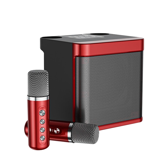 Customized Professional Outdoor Wireless Karaoke Speaker Ys203 Rock Speaker Outdoor