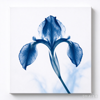 4 Pièces d'Art Mural sur Toile Transparente Bleue, Affiche Abstraite Moderne, Décoration Murale Nordique pour la Maison, Peinture avec Cadre en Bois