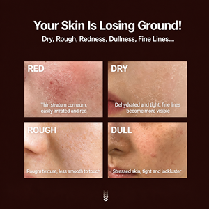 Lotion Visage Bio à la Lavande, Extrait de Provence Française, Niacinamide, Ferment de Pivoine, Éclaircissante, Éclatante, Rajeunissante, Peaux Sensibles - Product Image 6