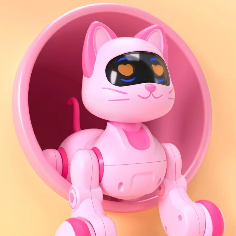 Sunnysprout 6601 - 1:16 Scale 4-Channel Remote Control Drift Car Complete Guide