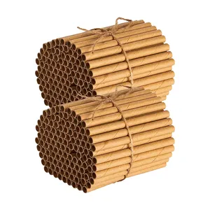Recharge de tube de nidification de remplacement insère des tubes d'abeille de maçon en carton pour les apiculteurs en plein air