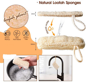 Natural Coconut Sisal Palm Fiber Compostable Bamboo <strong>Wood</strong> Kitchen Dish Brush <strong>Set</strong> Dish <strong>Cleaning</strong> Brush Pot Kitchen Scrub Brush <strong>Set</strong> - Product Image 5