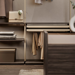 Armario de Estilo Moderno Clásico <span class=keywords><strong>Poliform</strong></span>, Muebles a Medida con Diseño Elegante para Apartamento, Hotel, Hogar - Product Image 2