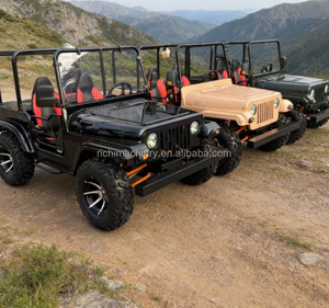 Buggy Jeep Classique Vintage 200cc pour Adultes, Haute Performance, Tout-Terrain, Dune, Plage, pour l'Aventure, la Ferme, <span class=keywords><strong>le</strong></span> <span class=keywords><strong>Ranch</strong></span>, VTT, UTV - Product Image 4