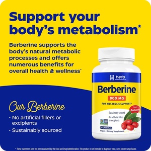 Cápsulas de Berberina de Marca Privada OEM/ODM - Suplemento de Berberina Natural de Alta Pureza, Bueno para la Salud - Product Image 3