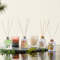 Bouteilles de diffuseur à roseaux en verre vides, directement de l'usine, 50/100/150/200 ml, rechargeables, pour huiles aromatiques, usage domestique