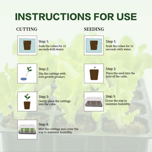 32 hücreleri fabrika Coco hindistan cevizi Peat büyüyen marş fiş kültür sebze bitkileri toprak büyüyen fide kesme için 500 adet - Product Image 6