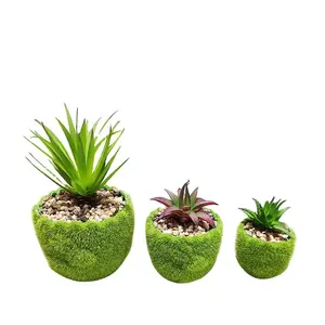 Vaso de cerâmica para plantas interiores, ornamental de jardim com padrões personalizados, estilo simples