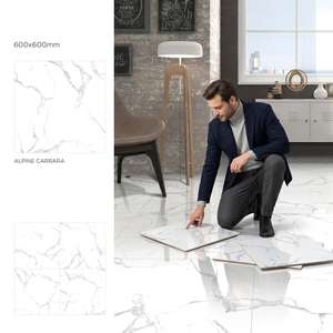 Vistaar Light Blue Bone Design 600x600mm Polished GVT Porcelain <b>Tiles</b> For Elegant Interior Flooring - Product Image 5
