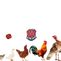 Mangeoire suspendue réglable en nylon pour poulets et légumes, sac réutilisable avec crochet, jouets, support pour fruits pour volailles, poules, canards, utilisation extérieure