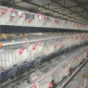 Gallinero de acero de alta calidad para gallinas ponedoras, para uso durante 12 años