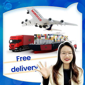 Transporte marítimo puerta a puerta servicio logístico costo flete de China a Marruecos categoría de producto Air + Express - Product Image 6