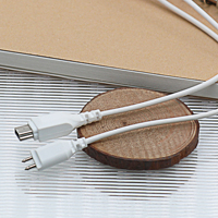 Câbles de remplacement courts USB TYPE-C pour connecteur de récepteur d'aide auditive, accessoires pour amplificateur sonore BTE et écouteurs