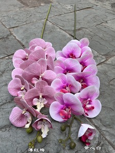 Spr Bán Buôn Handmade Nhân Tạo Phalaenopsis Màu Xanh Phong Lan 8 Người Đứng Đầu Duy Nhất Thân Thực Cảm Ứng Cho Năm Mới & Trang Trí Đám Cưới - Product Image 5