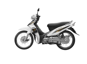 Moto de banlieue 110cc Sirius en gros avec roue à rayons, frein à disque, moteur 4 temps à essence - Product Image 3