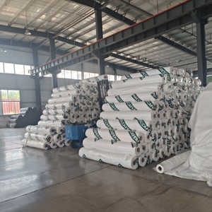 Geotêxtil composto "dois pano uma membrana" | Anti-infiltração para aterros e engenharia do porão - Product Image 1