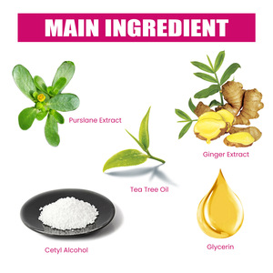 Sérum professionnel de soin des ongles OUHOE à l'<span class=keywords><strong>huile</strong></span> d'arbre à thé et au gingembre pour le traitement des mycoses des ongles, sérum réparateur pour les soins des ongles - Product Image 4