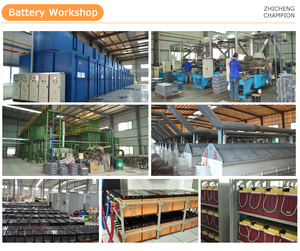 Свинцово-кислотные аккумуляторы ZHICHENG CHAMPION, 6 в, 4,5 Ач, перезаряжаемые элементы для противопожарной сигнализации - Product Image 4