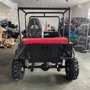 2/4 posti jeep 250cc 4x4 benzina Buggy off <span class=keywords><strong>veicolo</strong></span> stradale per adulti Jeep jeep per la vendita - Product Image 2