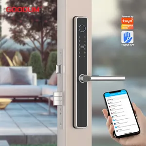 6-em-1 Keyless Entry Door Lock Touch Screen Impressão digital senha Door Lock Waterproof Digital Door Lock com Wi-Fi embutido
