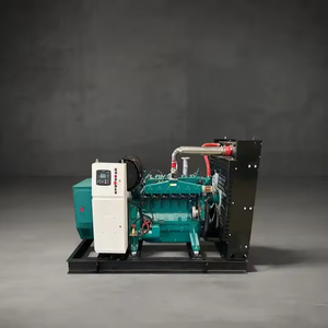 Weichai yuchai 6bt Máy phát điện đặt <span class=keywords><strong>Methane</strong></span> cng lng gỗ khí sinh khối Powered <span class=keywords><strong>Turbine</strong></span> chất thải thu hồi nhiệt cho Biogas - Product Image 2