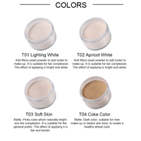 ARTMISS OEM – poudre de surligneur mat, maquillage du visage, poudre translucide, Logo personnalisé