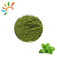 Poudre de menthe naturelle de haute qualité, qualité alimentaire, extrait d'herbes, emballage sous vide en fût